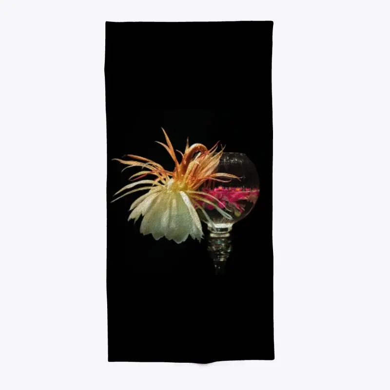 Night Blooming Cereus flower