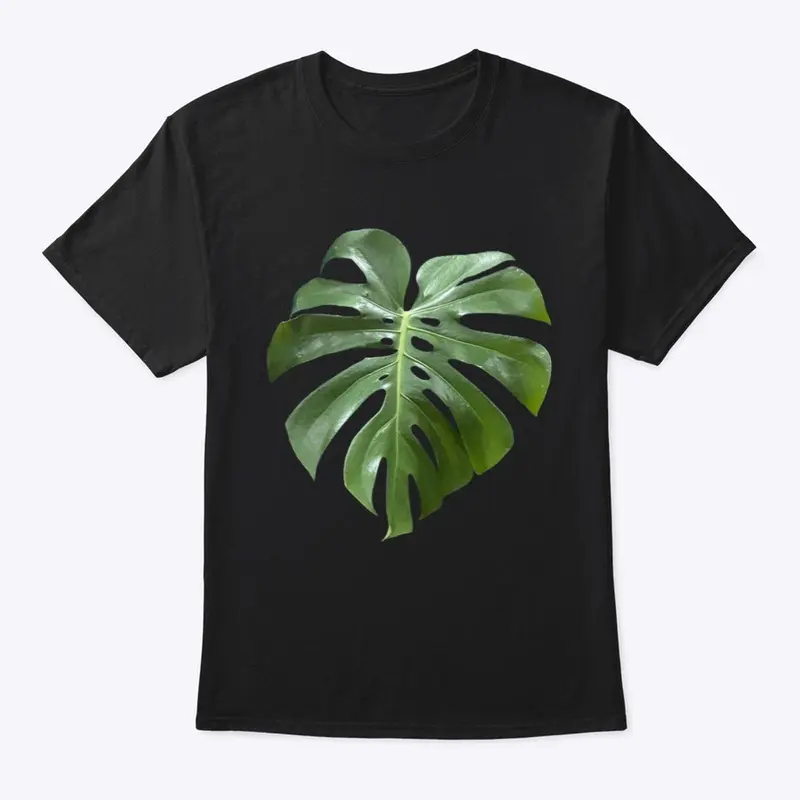 Monstera Deliciosa